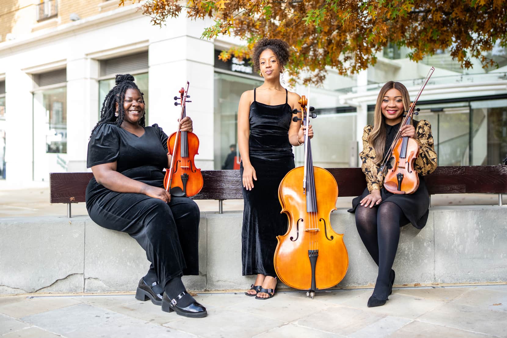 Wedding Soulful Strings