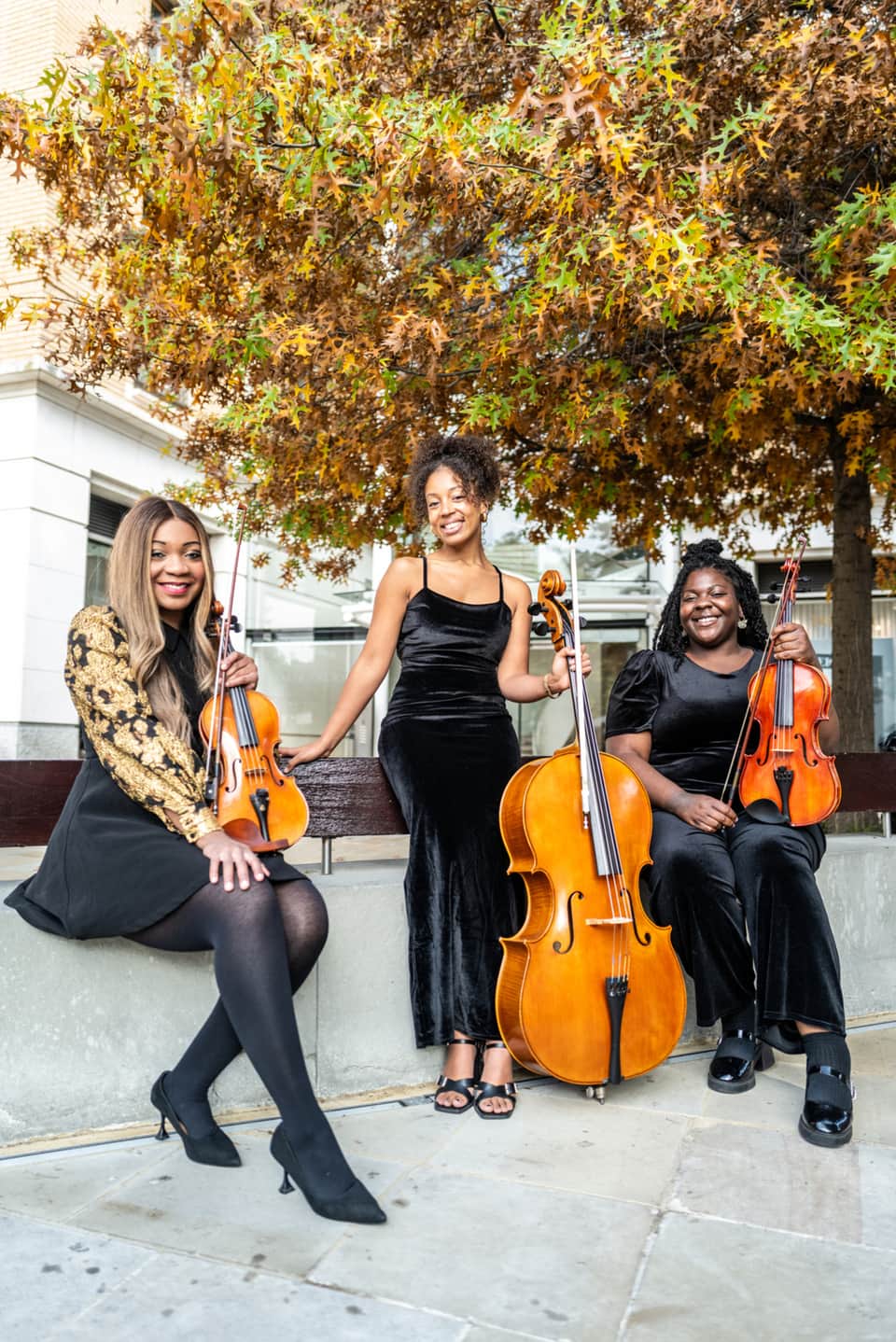 Wedding Soulful Strings