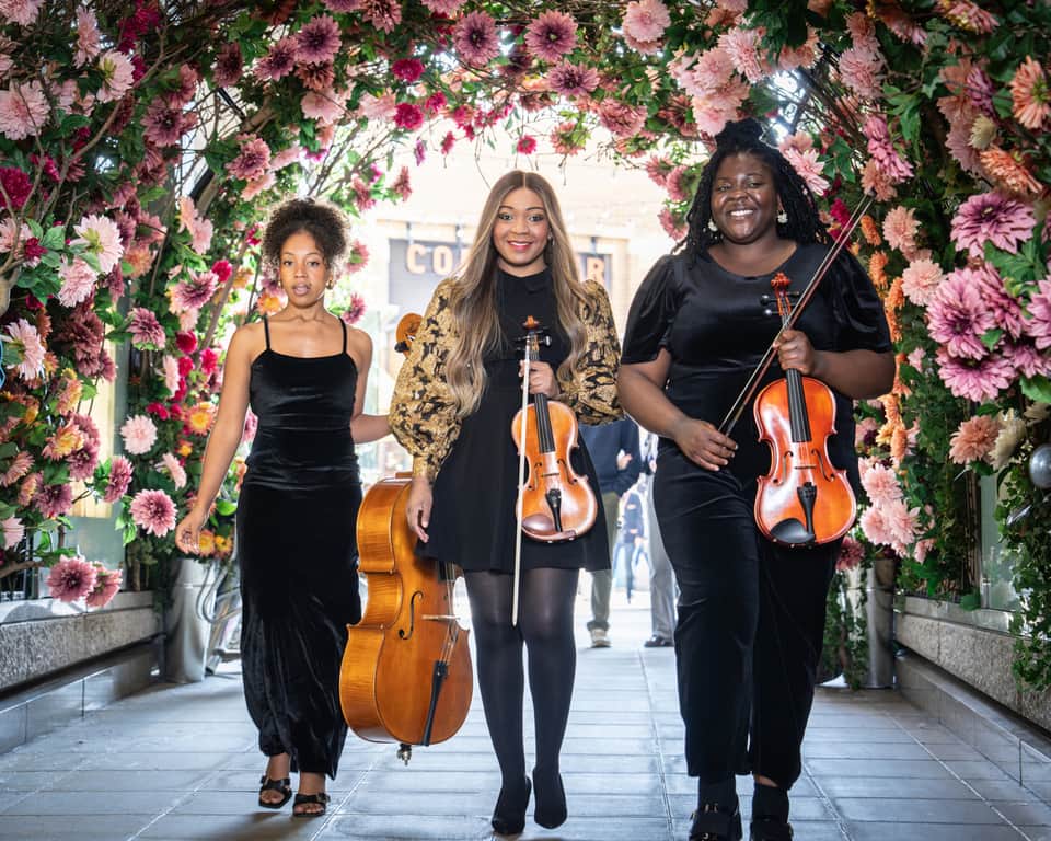 Wedding Soulful Strings